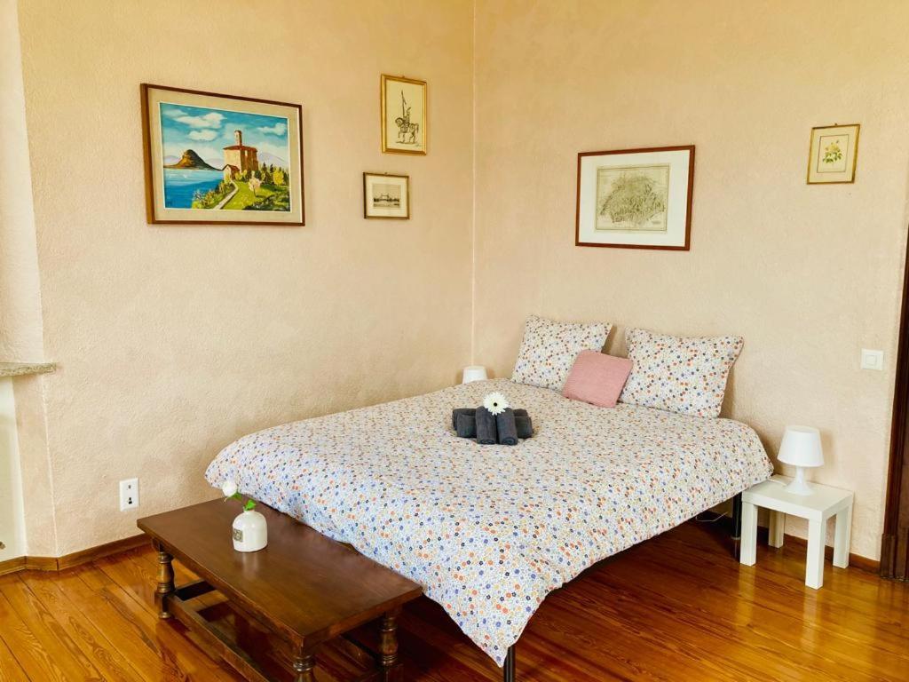 מורקוטה Villa Antonietta מראה חיצוני תמונה